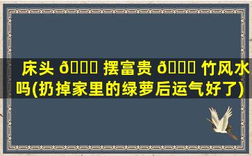 床头 🐈 摆富贵 🐅 竹风水好吗(扔掉家里的绿萝后运气好了)